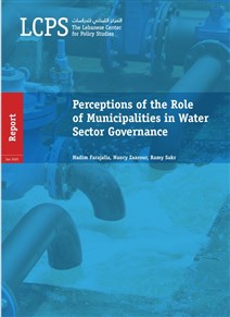 Perceptions of the Role  of Municipalities in Water  Sector Governance