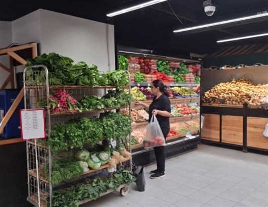 Lebanon's Cost-of-Living Crisis: Beyond Monitoring and Enforcement of Essential Food Prices