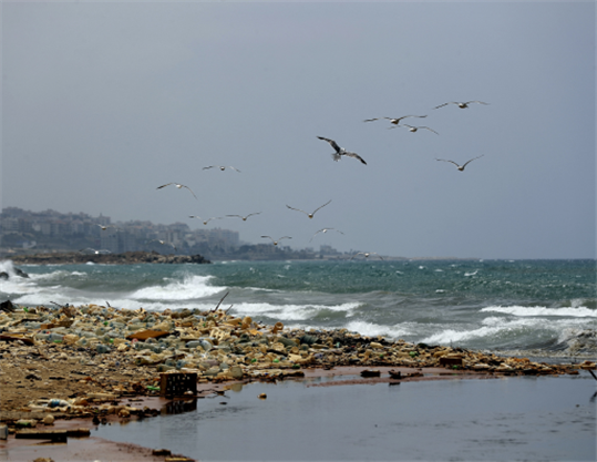 Seawater Pollution and Governance Challenges in Lebanon